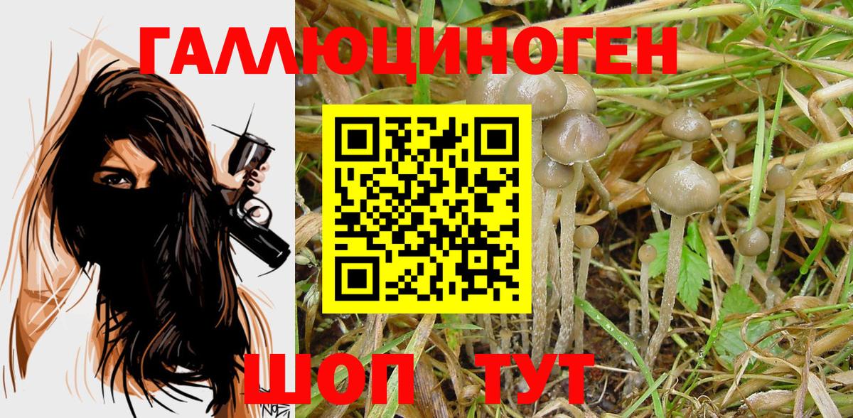 Псилоцибиновые грибы MAGIC MUSHROOMS Мыски